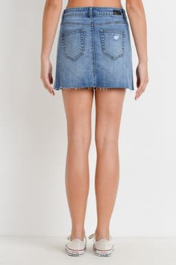 FALDA CESTTOI 441SK 1